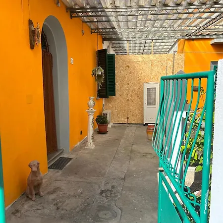 Carlitos Maison Nyaraló Pisa